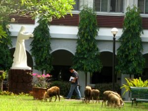 img_4559ed_18465559233_o