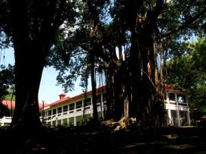 img_4862ed_18465557183_o